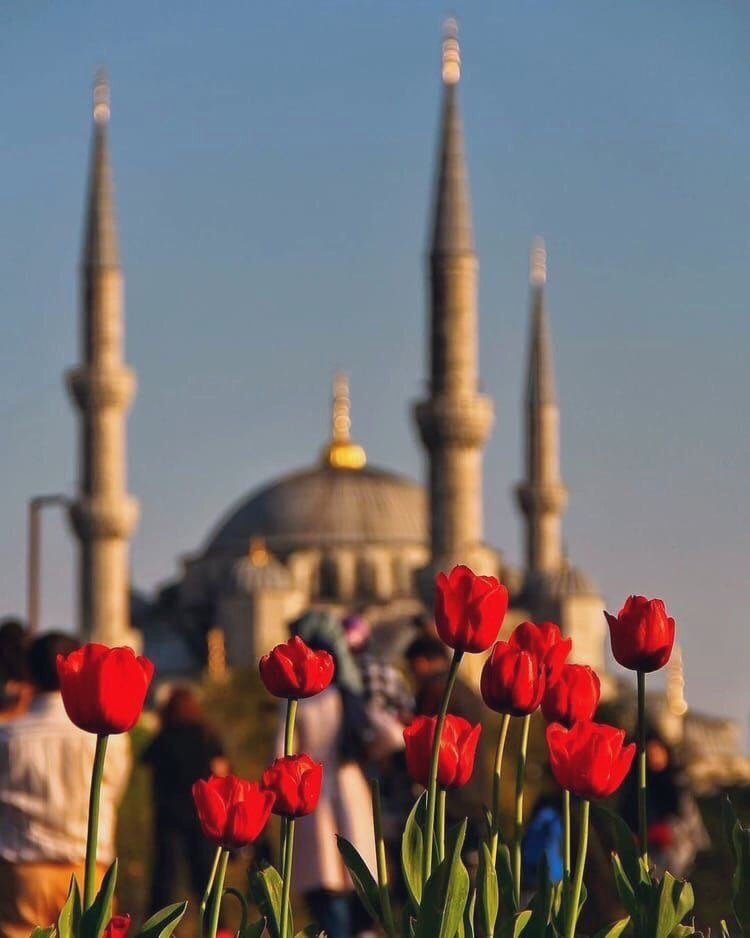 rrmsshh2's tweet photo. اللهمَّ أرزقنا قلوب تتجلىٰ بخشيتك ،
ونعماً تدوم بفضلك ، 
وأرواحاً تهوىٰ طاعتك ،
ولساناً لا يمل من ذكرك ،
اللهم إنا نسألك صدق التوكل عليك وحُسن الإعتماد عليك وقوة اليقين بك . https://t.co/ZL3qf7mrbj