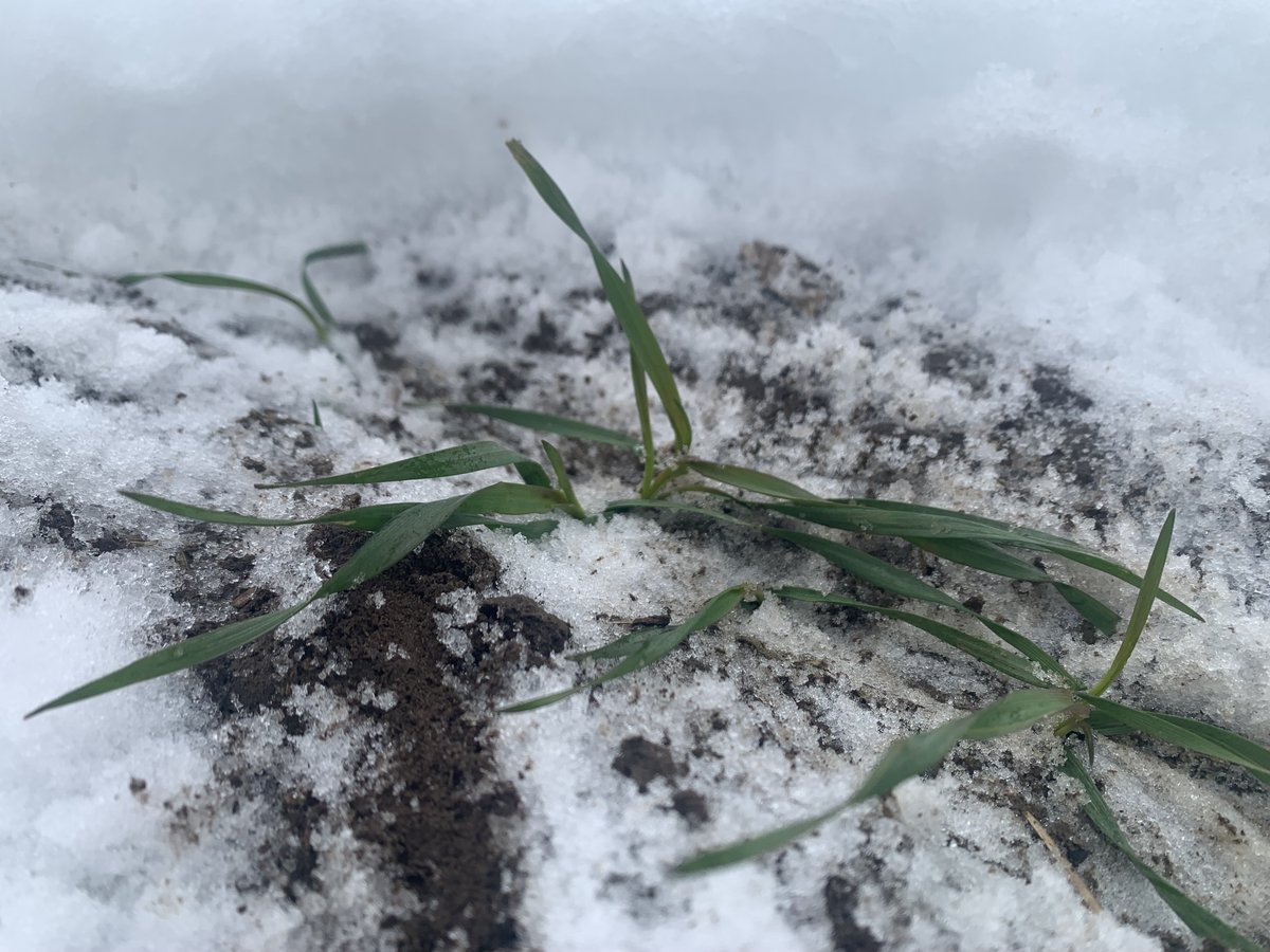 Fall Line Capital tweet media