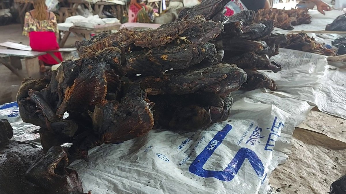 InfoNile tweet media