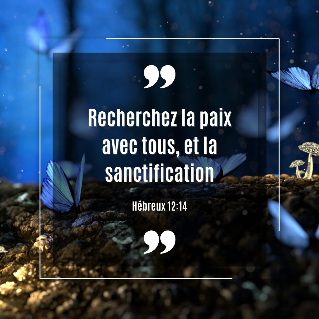 La Bible tweet media