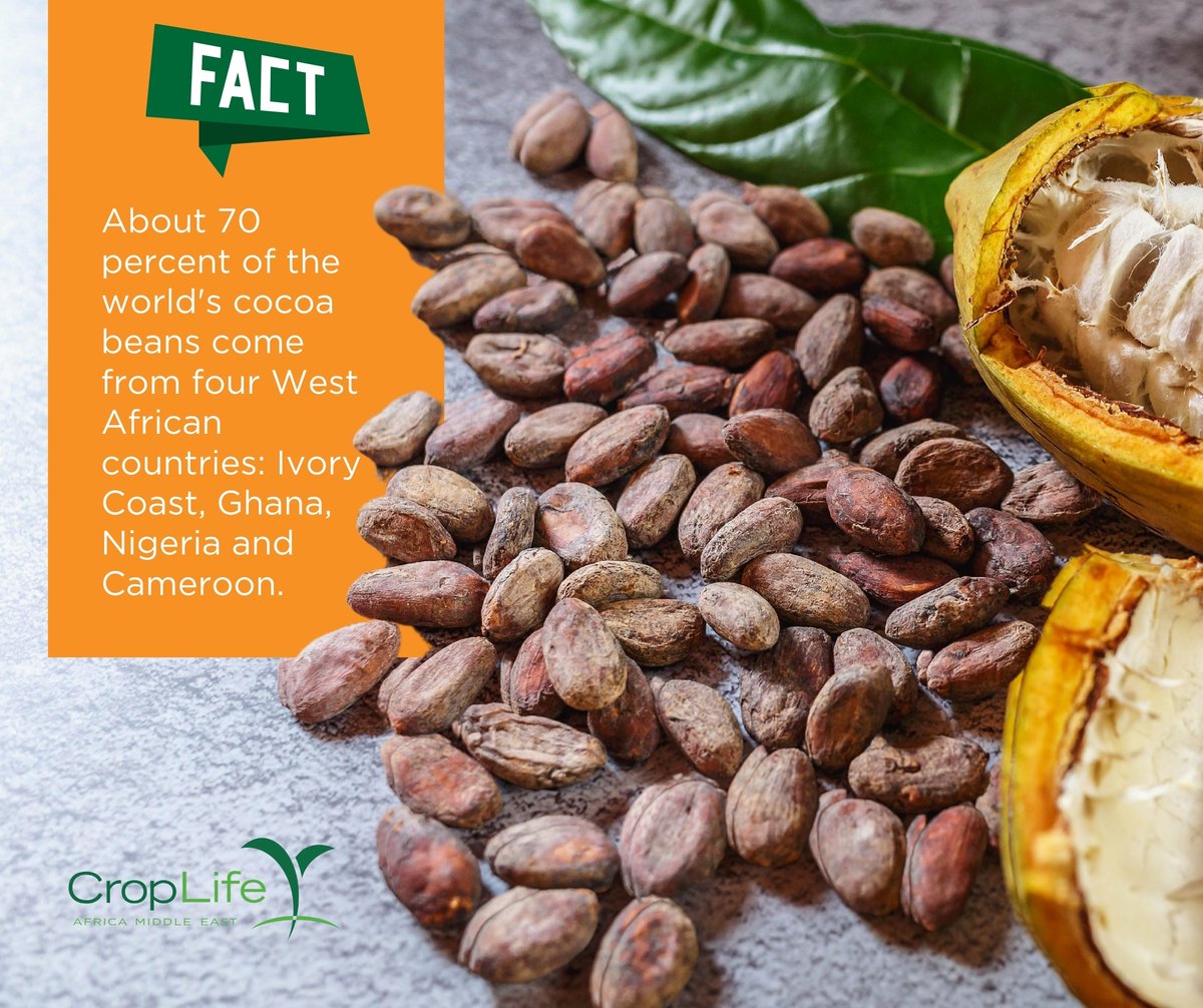 CropLife Africa Middle East tweet media