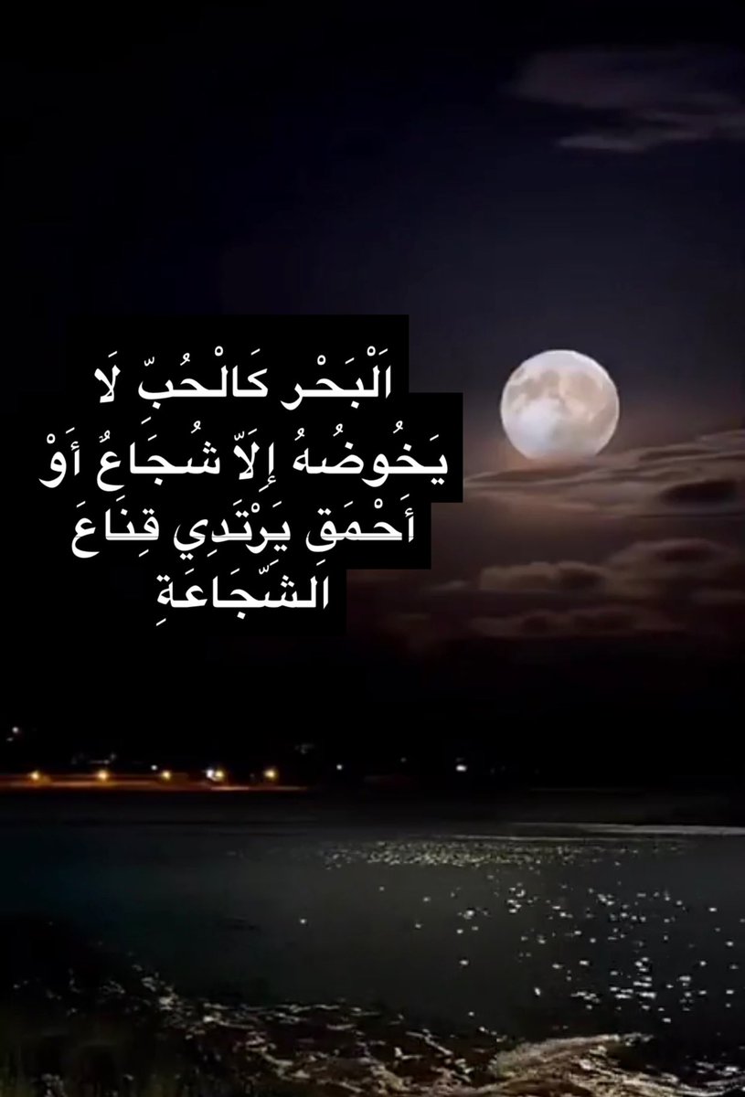 هدهد سليمان tweet media