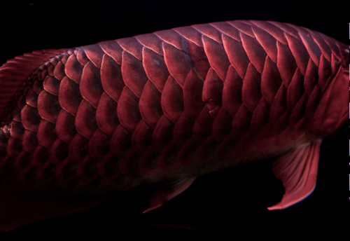 Archillect (@archillect) on Twitter photo 