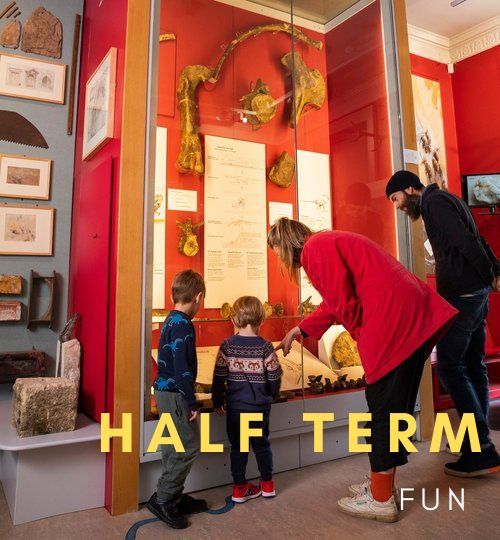 Half Term! 📽️ Current Exhibition: SCI-FI! Alternative Film Posters from Stroud Illustrators Collective 🔎 All Week: Free Family Explorer Trails To see the other activities and events we have on this week, see our website: buff.ly/2Uvzj6o #halfterm #visitstroud #mip