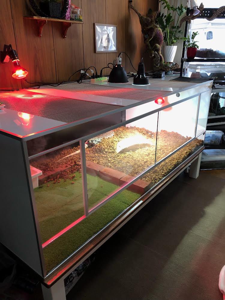 爬虫類ケージ 龍匠ケージ ホワイト 横幅120×奥行45×高36 ※引き取り限定