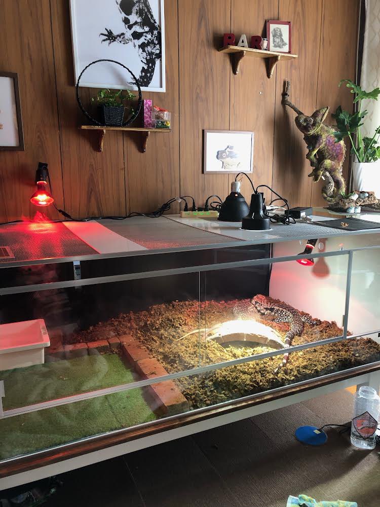 引取限定 龍匠ケージ 横幅60cm×奥行60cm×高さ90cm シルバ