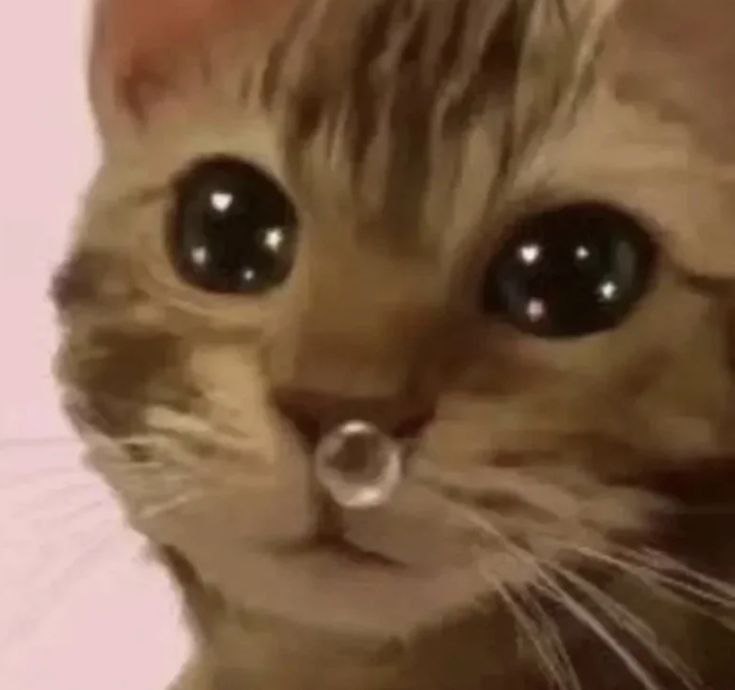 xiaotincg's tweet photo. @B0NGGU sekali lagi 😔 https://t.co/l6rBQFUUYi
