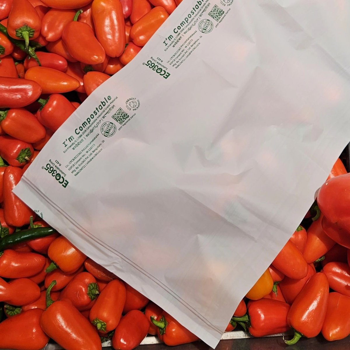 Eco365_Gogreen's tweet image. Compostable Packaging 💚

Learn More: eco365.co.in
#GreenPackaging #SustainableLiving #CompostableSolutions #EarthFriendlyPackaging #ReduceReuseRecycle #PackagingWithPurpose #EnviroFriendly #PlanetFirst #GreenInnovation #ZeroWasteLife #CompostableFuture