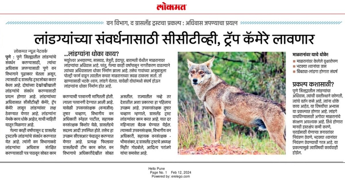 Insights into an upcoming Indian Wolf monitoring project using trail cameras and surveillance cameras, in collaboration with Pune Forest Division. lnkd.in/dzSMeRVK #IndianWolf #Pune #WildlifeConservation @tusharchavanifs @godbole_mihir @PuneForest