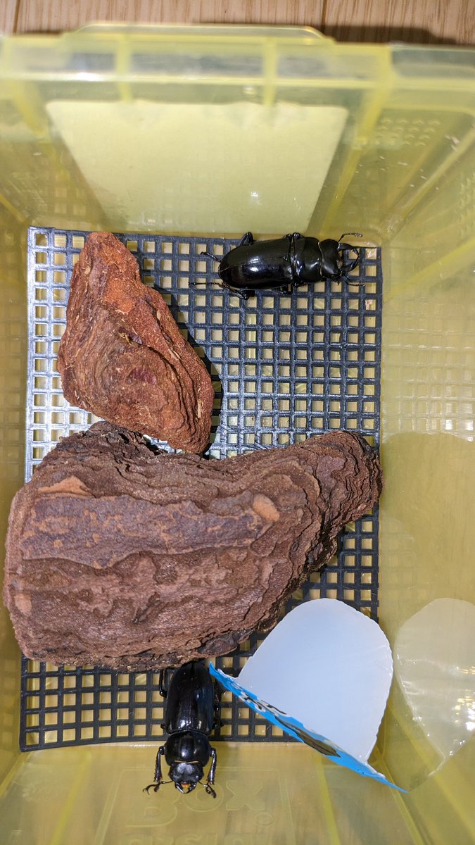 今年初ホテル♥
よろしくです🙏