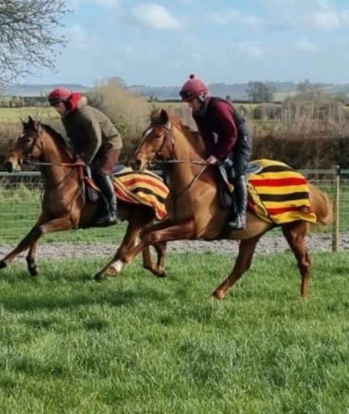 The Craftymaster making it 5 wins in a row 🏆🏆🏆🏆🏆🥇🥳💪
Broken in here as a yearling 🏇🏼
Well done to all connections! 🍾🥂
#Wolfie
#yearlings
#flatracing
#BraysdownStables
#Winners