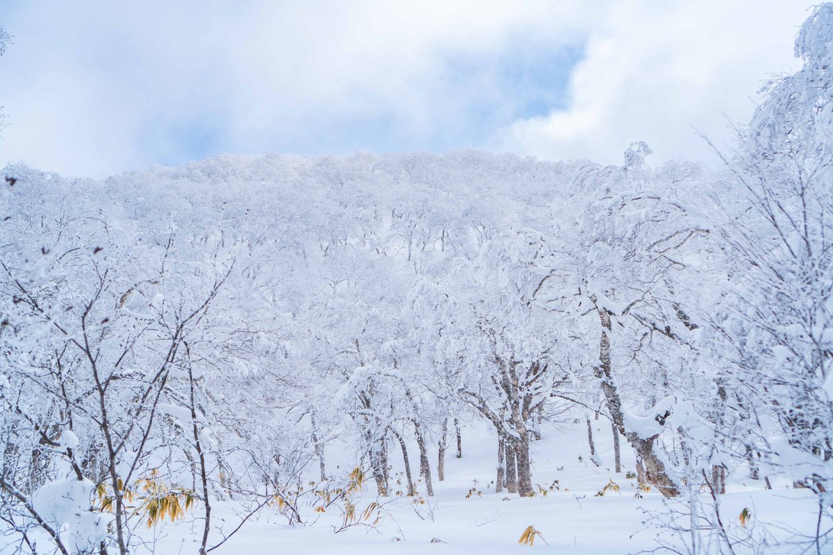 adexnoboribetsu's tweet photo. adex snowshoeing tours offer spectacular snowy scenery! ❄️
アデックスのスノーシューツアーで壮大な雪景色を!❄️
https://t.co/A9oWRKAZyH
#adexbase #hokkaido #adventuretravel #orofurepass #アドベンチャートラベル #オロフレ #登別温泉 #登別地獄谷 #日本 #北国は真っ白な始まり https://t.co/lSH2RXTfPt