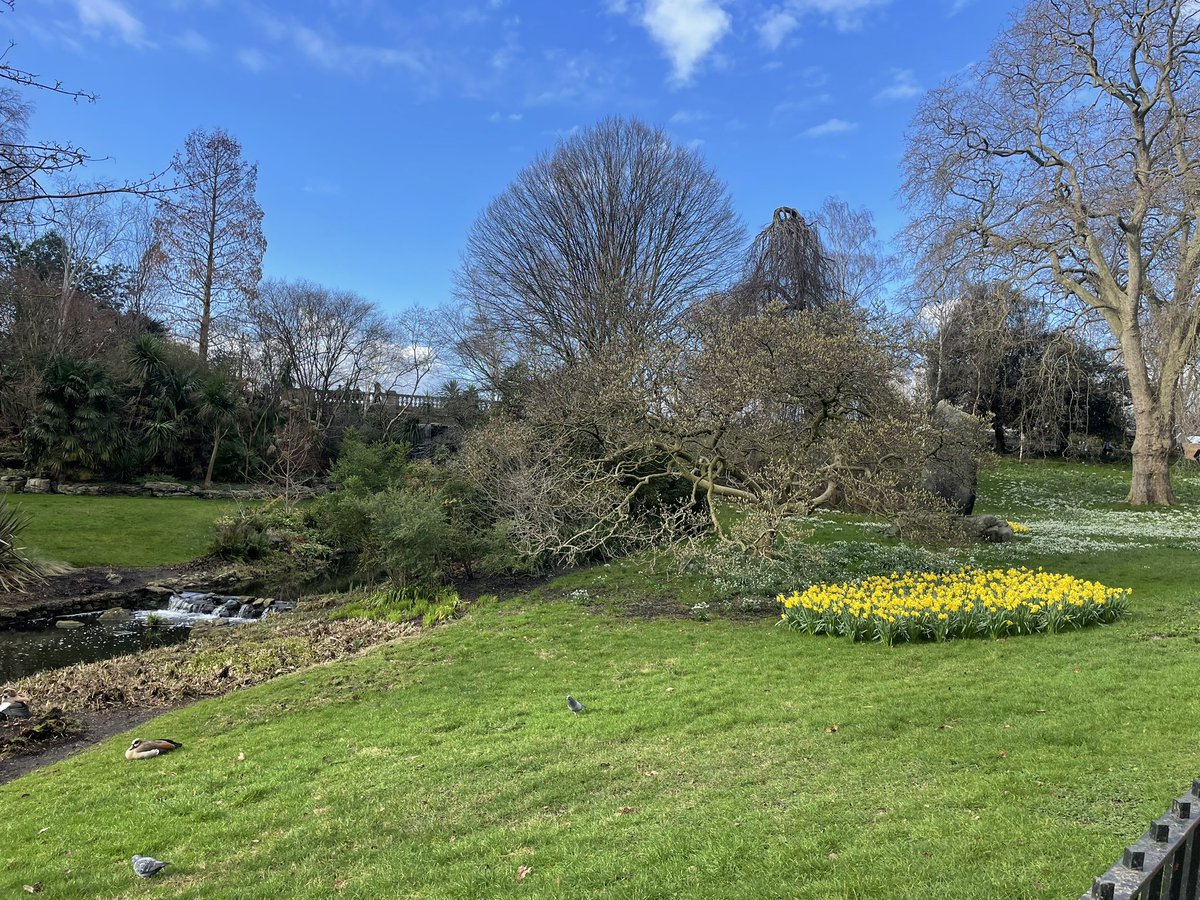 lynne_drummond's tweet image. 3.1 mile #RaceWalk followed by 10 miles slow jog from #Tooting . Gorgeous sunshine and #spring flowers . Lovely #sunday #london #running #exercise #healthyaging #ukrunchat