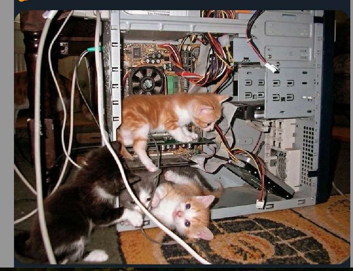 SG0749's tweet image. If you are facing any technical diffcukties in generating awesome content using @UnstudioAI ,
I assure you that our AI/ML engineers are working on it.
 
Trust me, they are quite paw-some and purr-fect. 😋🥰

#unstudio #TextToImage #GenAI