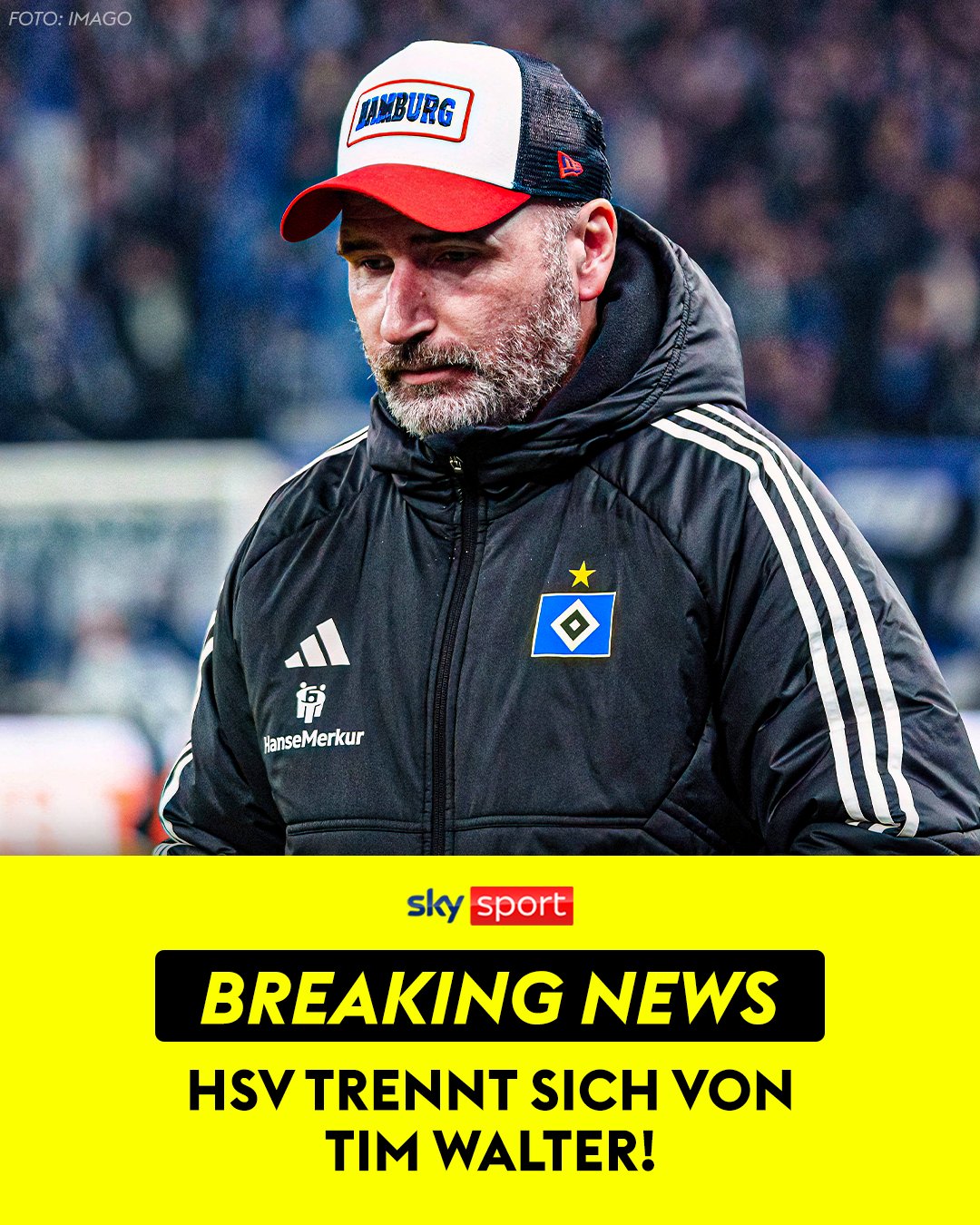 HSV trennt sich von Trainer Tim Walter in der 2. Bundesliga