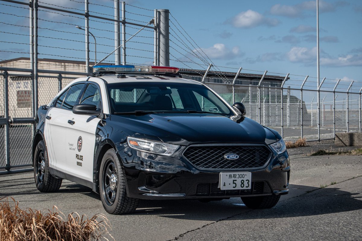 O氏(オーシ) tweet media