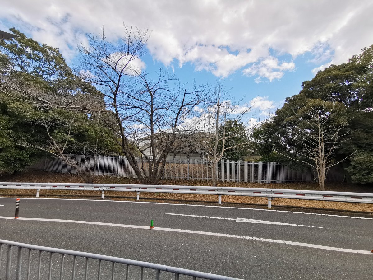 kazutainment's tweet photo. 55を前に
初めての「服部緑地公園」へ

「ゎんこ達のさんぽ🐾」を名目に、

「野外音楽堂」を見たかった
それが、本当の目的

イベントも多いので
現地周り、駐車場事情
道中の確認等

万博と違って、駐車料金も
良心的だし

ゎんこと一緒にさんぽ🐾出来るのは
嬉しい限り(о´∀`о) https://t.co/ykAu5cgMte