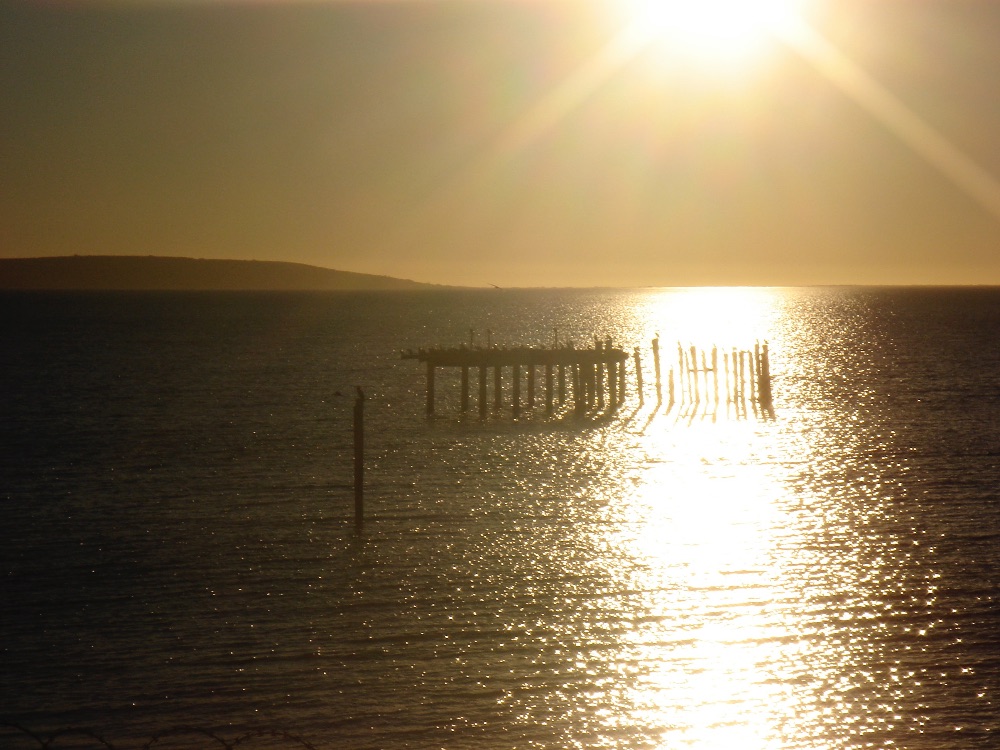 I 💜 Weskus Newsletter - mailchi.mp/96ae57692114/i…

Click on Facebook Page Newsletter tab to subscribe to this monthly newsletter.

PHOTO: @prinsespretorius
Location: Laaiplek