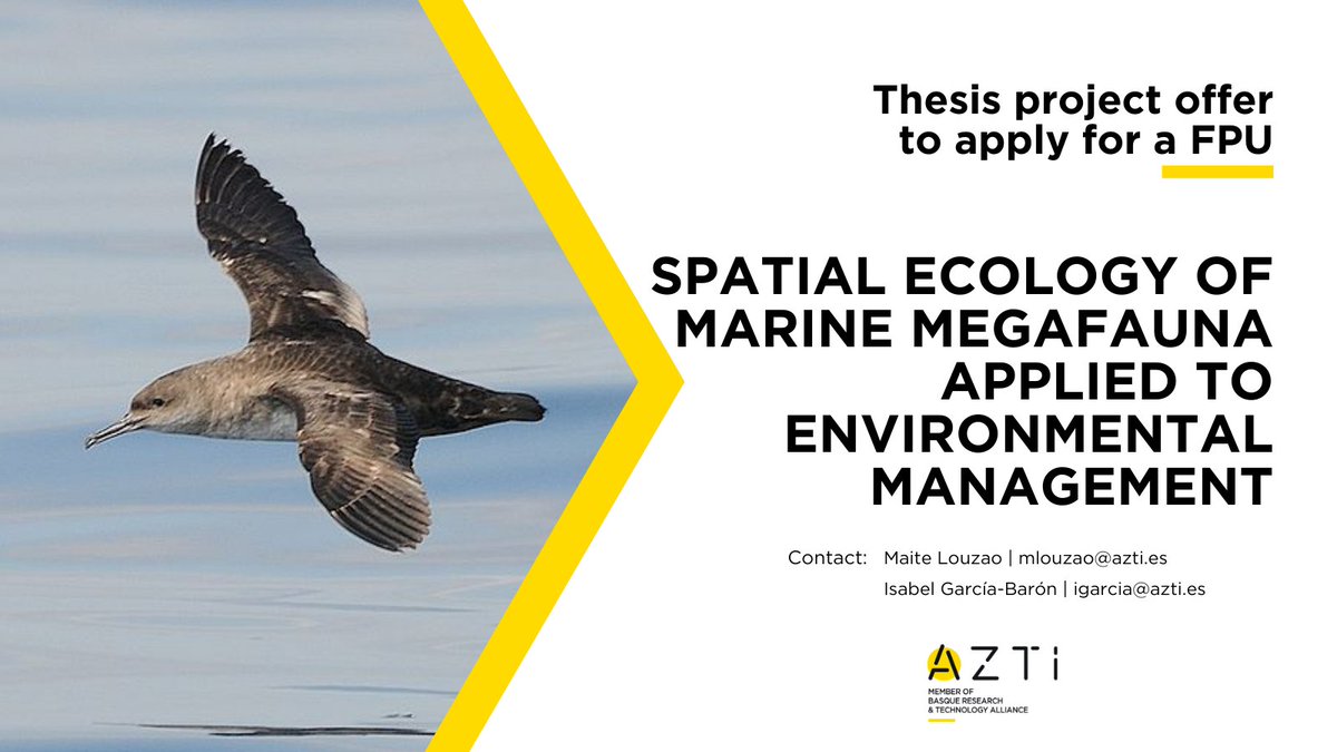 azti_brta's tweet photo. 👩‍🎓❓Do you want to apply for a #FPU thesis? At AZTI we have a project offer on #SpatialEcology of megafauna applied to environmental management. 

If you are interested, write to: 

👩‍🔬 Maite Louzao | mlouzao@azti.es
👩‍🔬Isabel García Barón | igarcia@azti.es  

⚠Until 15/02 https://t.co/Yv1tepnfFz