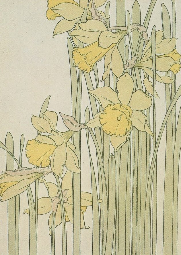 Alexandra Epps tweet media