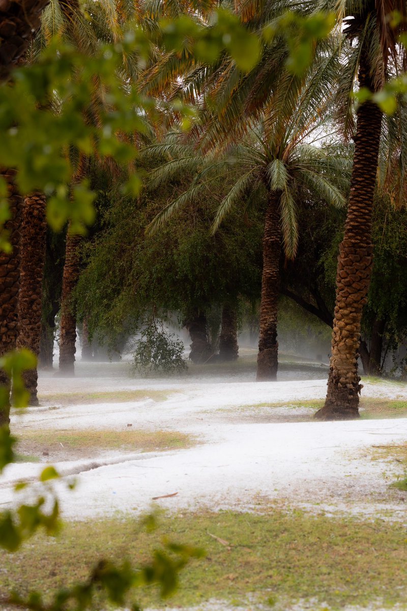 KHALED AL SHAMSI🇦🇪 tweet media