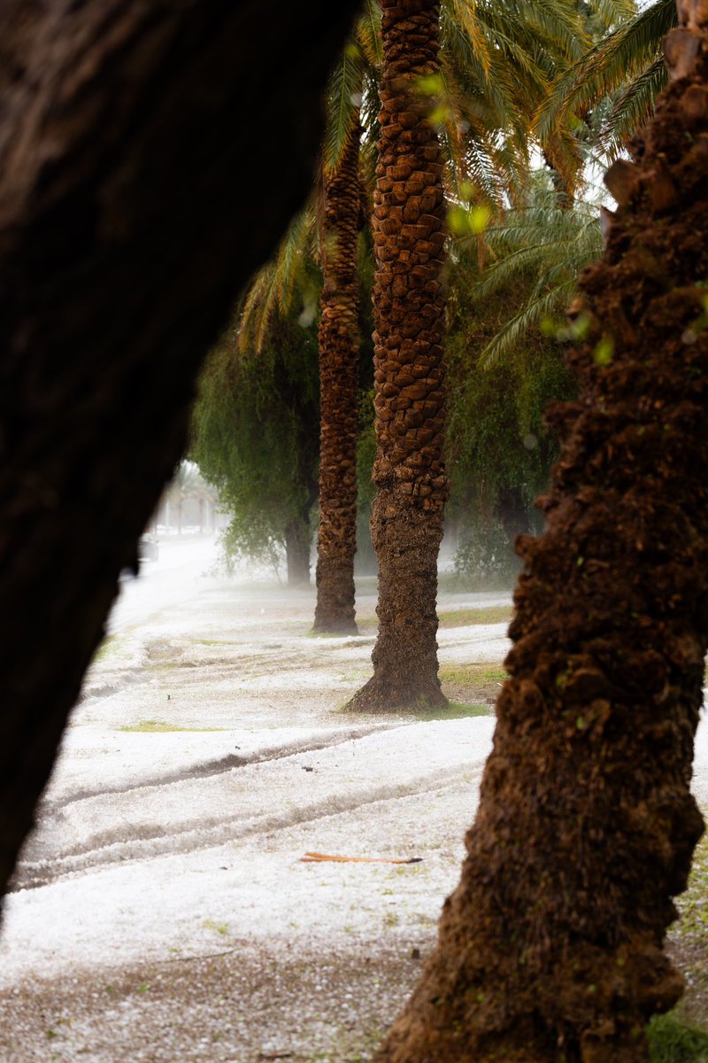 KHALED AL SHAMSI🇦🇪 tweet media