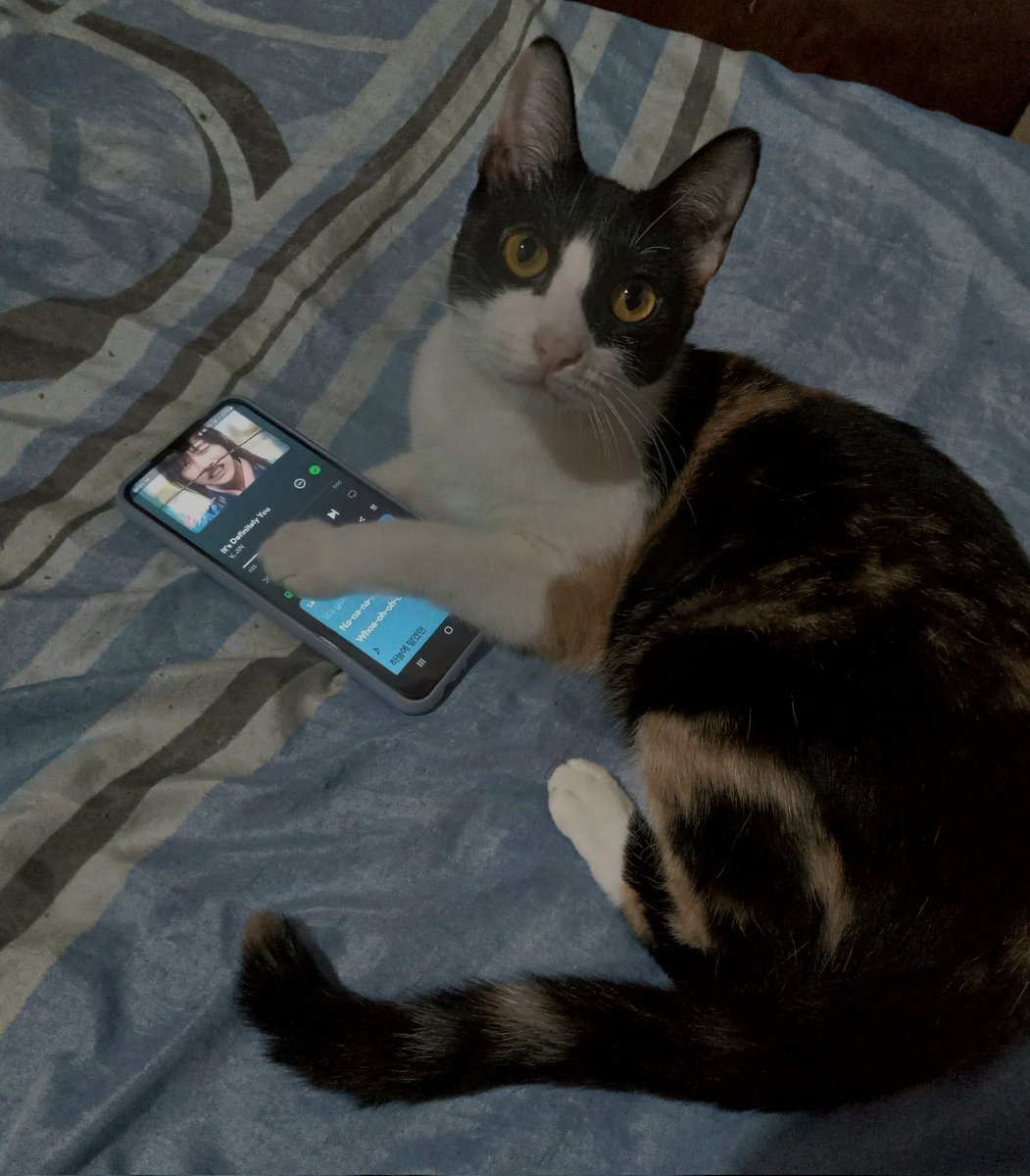 jeongphy's tweet photo. mi gata tiene buenos gustos 💋 https://t.co/SAVg6rbm4d