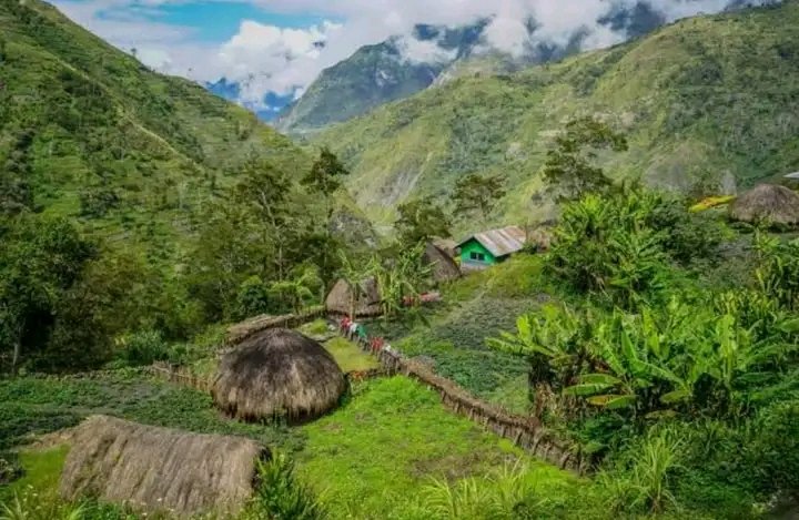 bratasewmhell's tweet photo. Kalau ko belum sampai di Wamena, sama saja ko belum injak di tanah Papua. Wamena jantung tanah Papua.

West Baliem Valley.

#BaliemNet #BaliemValley #WamenaPapua https://t.co/j405GYU5LA