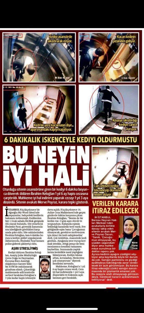 #ibrahimkeloğlantutuklansın
Bu neyin iyi hali? 
Kendisinden katbekat küçük bir canlıyı 6 dakika döverek öldüren bir kişiye iyi hal indirimi vermenin ne kadar hatalı bir karar olduğunu, yarın aynı şeyi çocuğuna, eşine, yoldan geçen herhangi birine yaptığında fark edeceksiniz. O