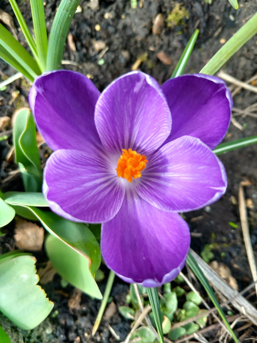 Good morning my friends, Happy Monday to you all and take care 😘 Sending a hug to anyone who needs it right now 🤗 Always be kind 💞