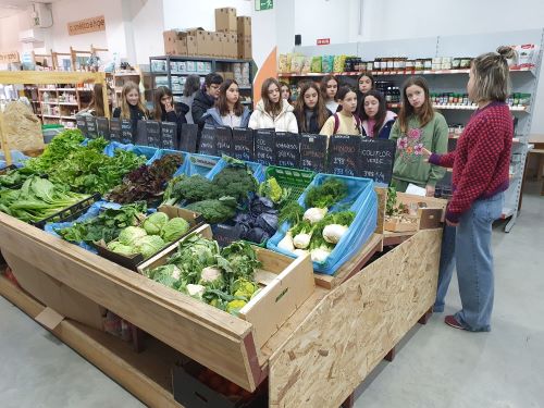IESCLARACR's tweet photo. Nuestros ecoayudantes visitan dos comercios de frutas y verduras totalmente distintos: la cooperativa A vecinal en el barrio de Jesús que vende productos de cercanía y el mercado central donde estuvieron comparando la procedencia de los productos
#Sostenibilidad https://t.co/s4tyHeFhtQ