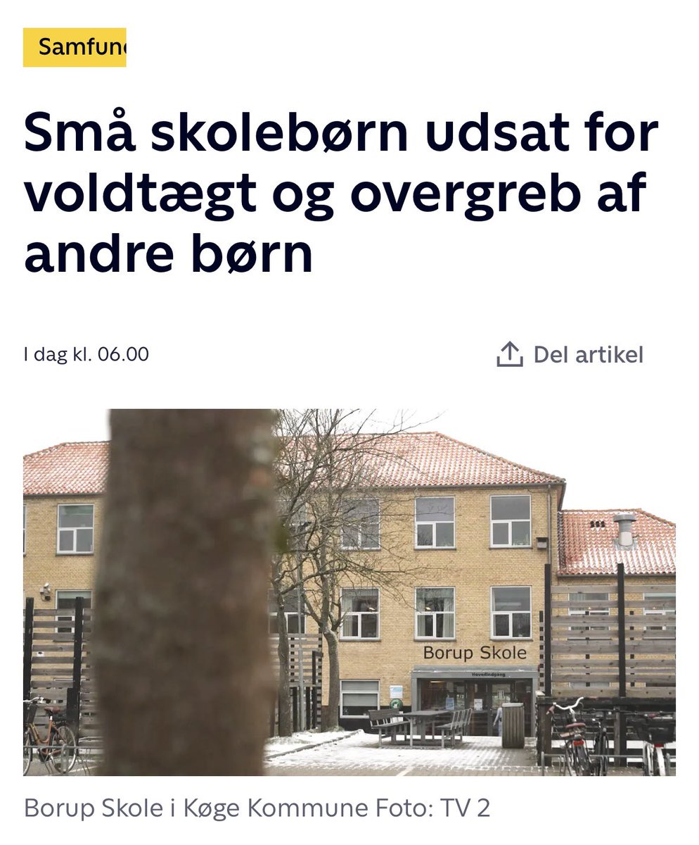 Det er de voksne, der skal tage ansvaret for at beskytte børnene - ikke børn, der skal agere vagter for at beskytte hinanden. 

Sagen fra Køge er frygtelig. Svært at friholde skoleledelsen fra ansvar. Hvordan kan børn, der voldtager og truer andre børn stadig gå på den skole?