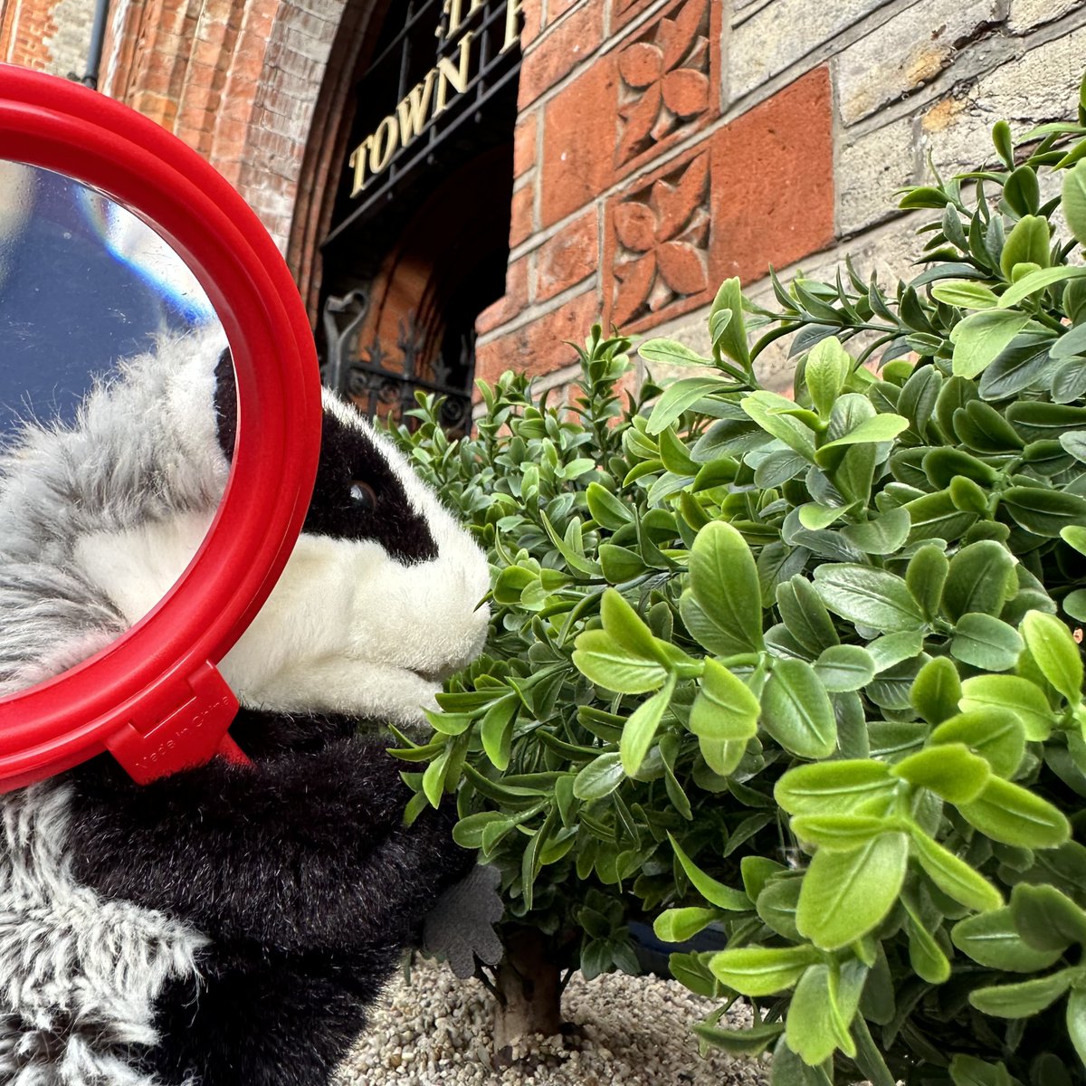 readingmuseum's tweet photo. Don't miss our special Monday opening today at Reading Museum!
Enjoy our Nature Explorer Trail with Bertie Badger and discover the amazing animals hiding in the museum 𦑠π¦
https://t.co/Devzq8laEp
#RDG #RDGUK #FebruaryHalfTermFun #BertieBadger https://t.co/IiV0QWlQxM