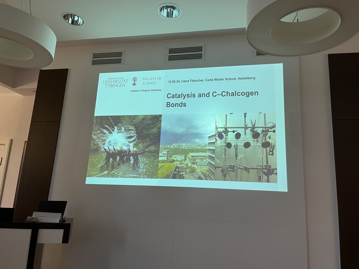 Now on stage at the 2024 @LaboratoryCarla Winterschool @FleischerLab talking about #catalysis and #chalcogens. Up for exciting chem day 2 of the meeting 😊