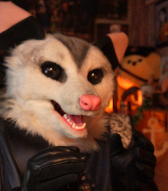 distalsplace's tweet photo. TFW you are making videos for future posts but your camera accidentally swapped to manual focus - so you spent two hours in your furry head for nothing...
#furry #fursuiting #furryproblems https://t.co/1Xi0f18aU9