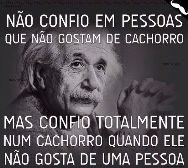 Luiz Carvalho (@luizcarvalho21) on Twitter photo 