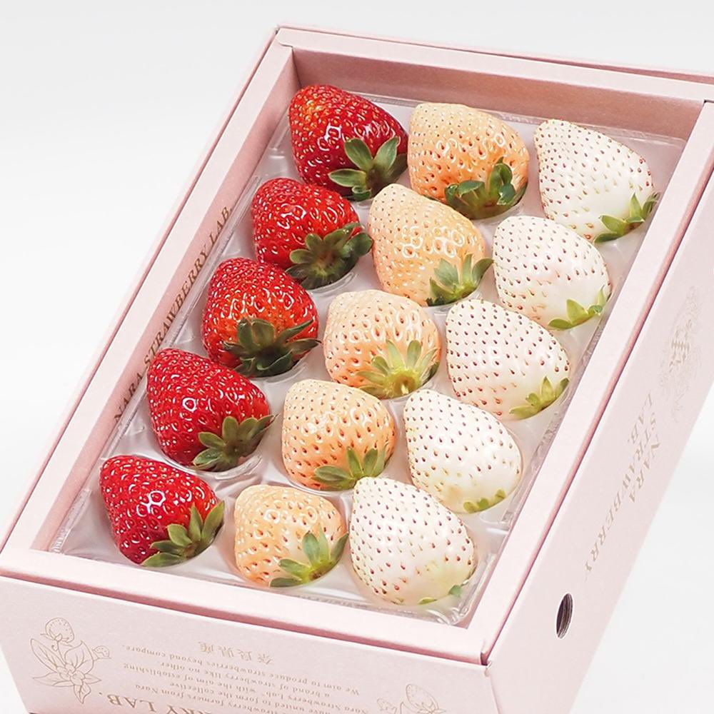 3種類のいちごギフト🍓 抽選でプレゼントします🎁 ＼ 🍀応募方法 ①