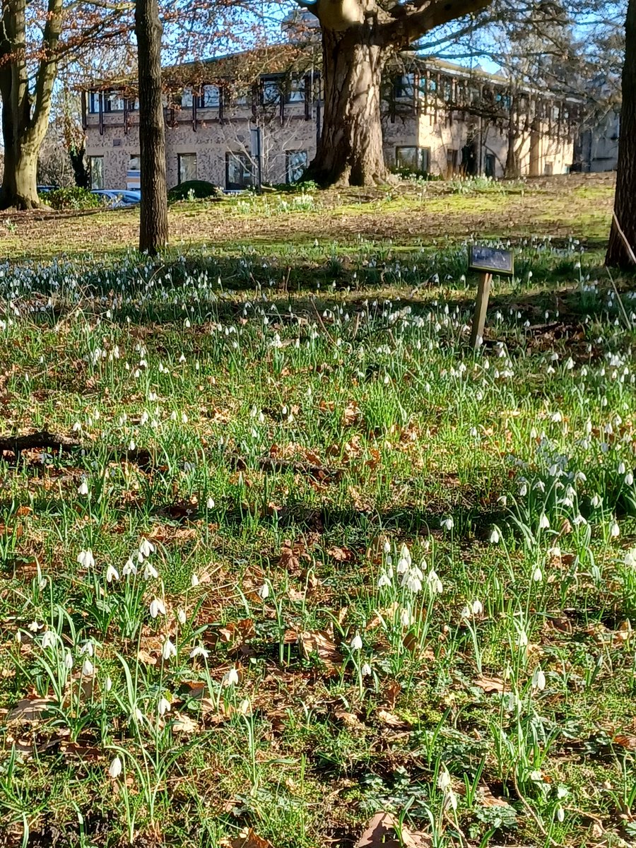 Music at Brookes tweet media