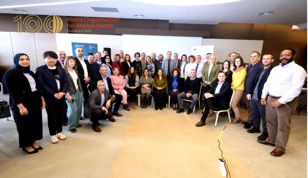 With the Quadripartite @who @fao @unep, we facilitated a workshop in Pristina on operationalising the #OneHealth approach to address health threats originating in the human-animal-environment interface, using the new Quadripartite guide to implementing the Joint Plan of Action.