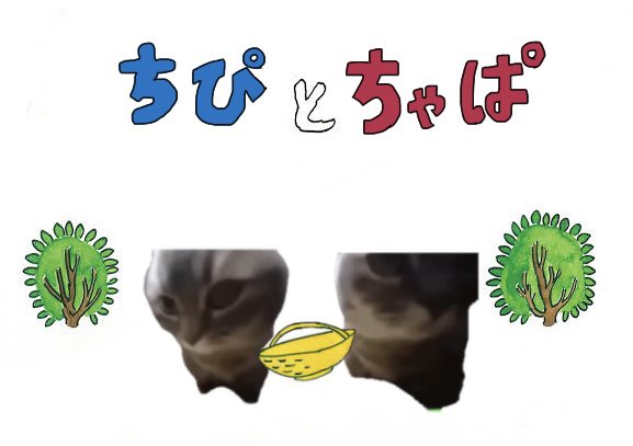 ｲﾗﾝﾄﾞ (@iland_desu) on Twitter photo 