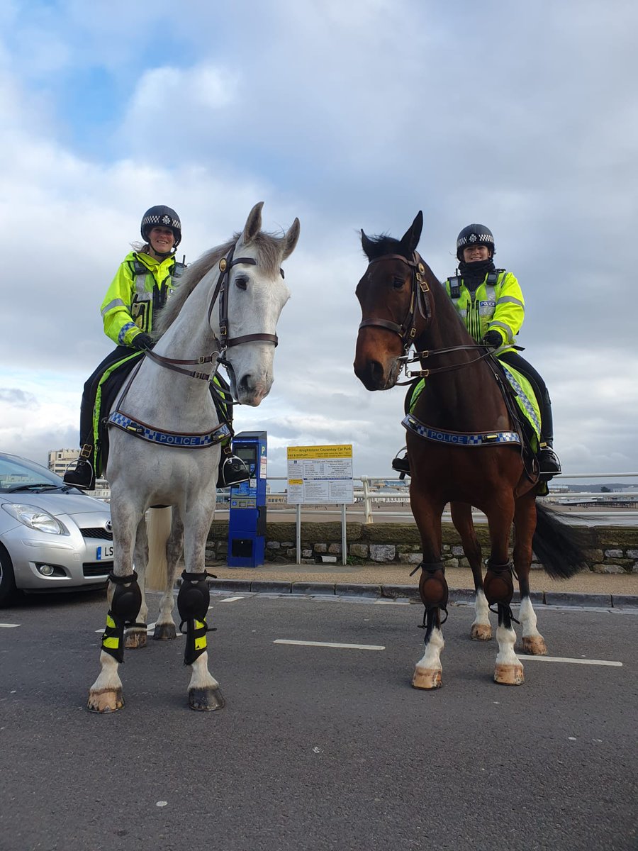 Arthur and Somerset have been out on patrol in Weston-Super-Mare ⛱️ unfortunately there was no time to stop and make sandcastles today! 🦄🐴 #mountedpatrols #communitypatrols