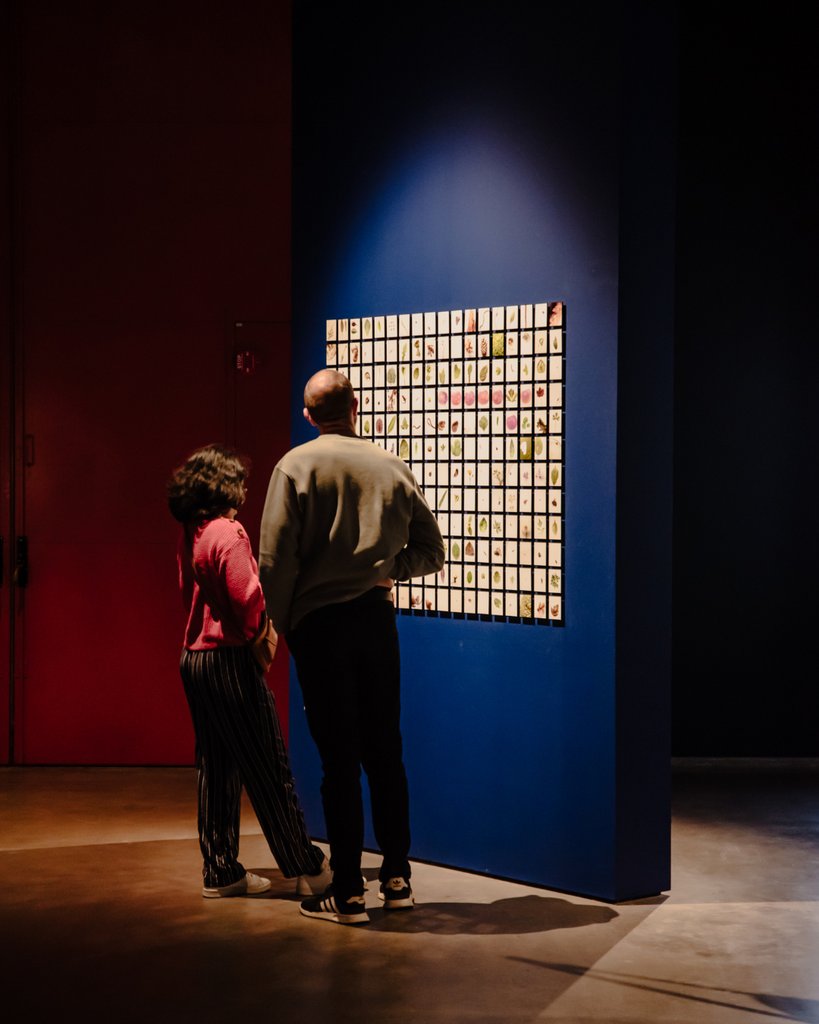 nlfotomuseum's tweet photo. Wij zijn op zoek naar een Online Marketeer die ons team komt versterken. Iets voor jou? We kijken uit naar je reactie!
https://t.co/x2KlDNRifY 

#vacature #nederlandsfotomuseum #vacatures #culturelevacatures 

Eregalerij van de Nederlandse fotografie © Niiahcreations https://t.co/M35lPUYL9w