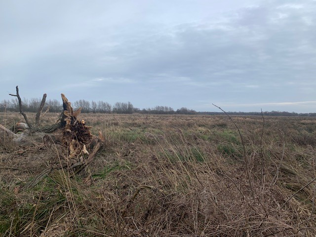 A recent walk along the Waveney valley with our new Waveney Farm Adviser, Sally (left). Watch this space! Feel free to get in touch if you are a farmer/landowner in the Waveney catchment and would like an advisory visit. @RiverWaveney @NorfolkWT @coastalwarden