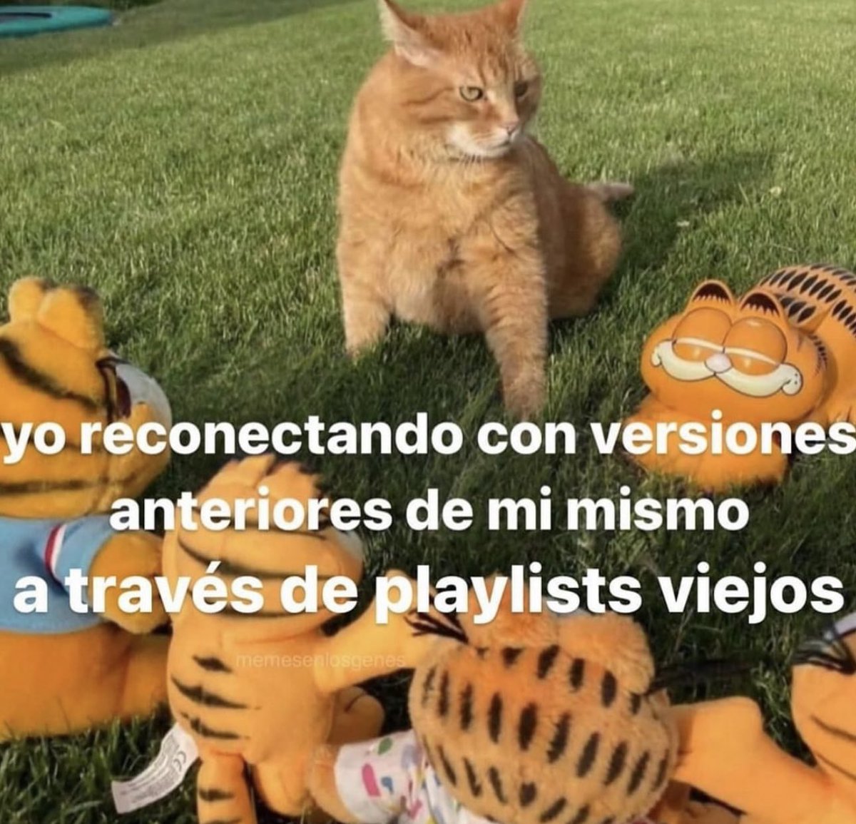 piña sin pizza (@skereunpesado) on Twitter photo 