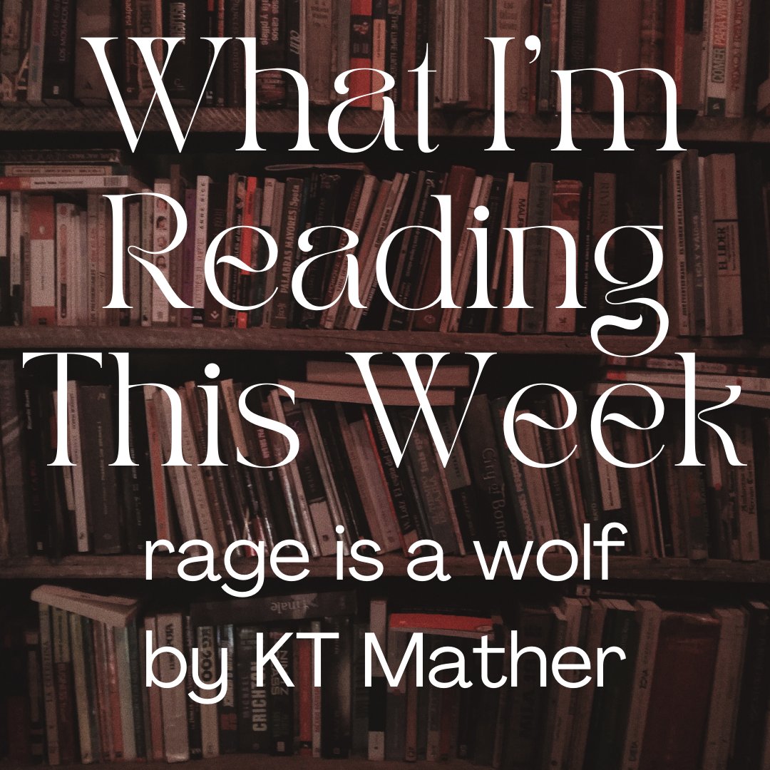 Writer_A_Rose's tweet photo. What are you #reading?
#readerscommunity #reader https://t.co/QsTpVotZsi