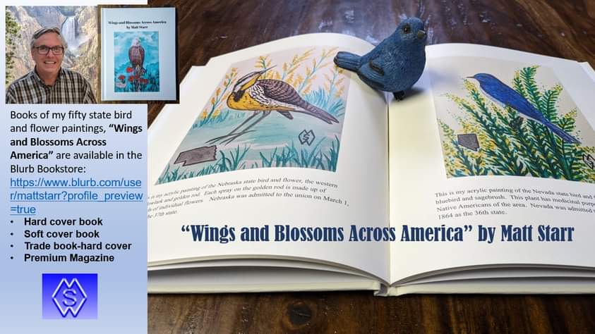 I am excited to share about my new book, “Wings and Blossoms Across America.”  blurb.com/user/mattstarr…
#mattstarrfineart #gift #giftideas #BlurbBooks #book #books #nature #bird #birds #flower #flowers #animals #wildlife #magazine #wings #blossoms #WingsandBlossomsAcrossAmerica