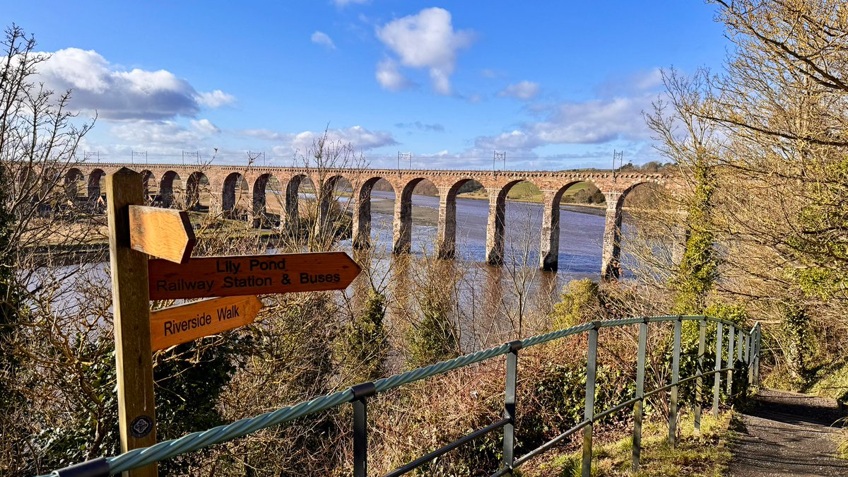 BeachDog15's tweet image. Lunch break. 🏃🏼#Fourfromthetrail #Springisnear