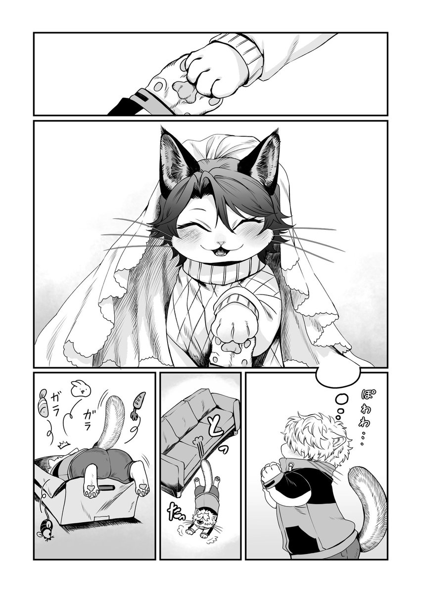 猫のキニャブニャを飼う キスブラ の時空  話が進むかもしれん猫達など  ある日の告白①