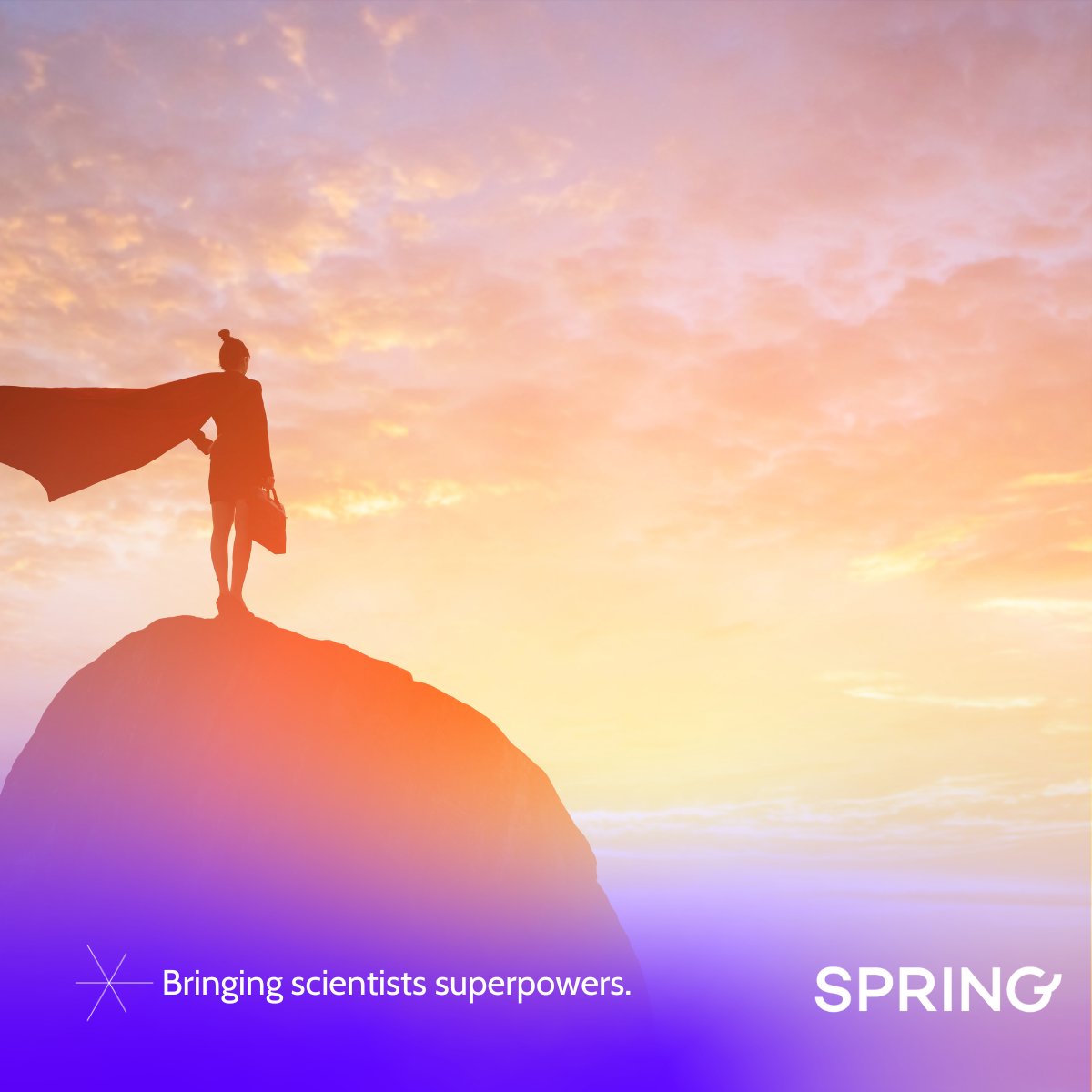 Curious what's going on in #imaging and #AI? Sign up for our new newsletter and be the first to hear about our new training materials, feature deployments, and scientific findings! 

Sign up for the Spring Superhero Bulletin today!
hubs.la/Q02h6nbX0
#SpringScience