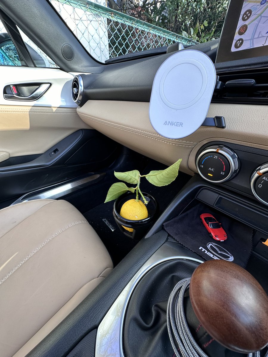 whitecarameltop's tweet photo. オープン退勤！
レモンいただいたからレモンホルダーに納めた！😆
#ビートルの花瓶みたい
#MAZDA 
#roadster https://t.co/RDV7z9453z